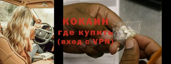 индика Абаза