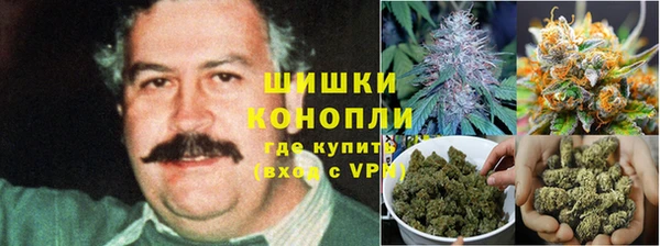 ешки Алексеевка