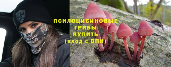 ешки Алексеевка