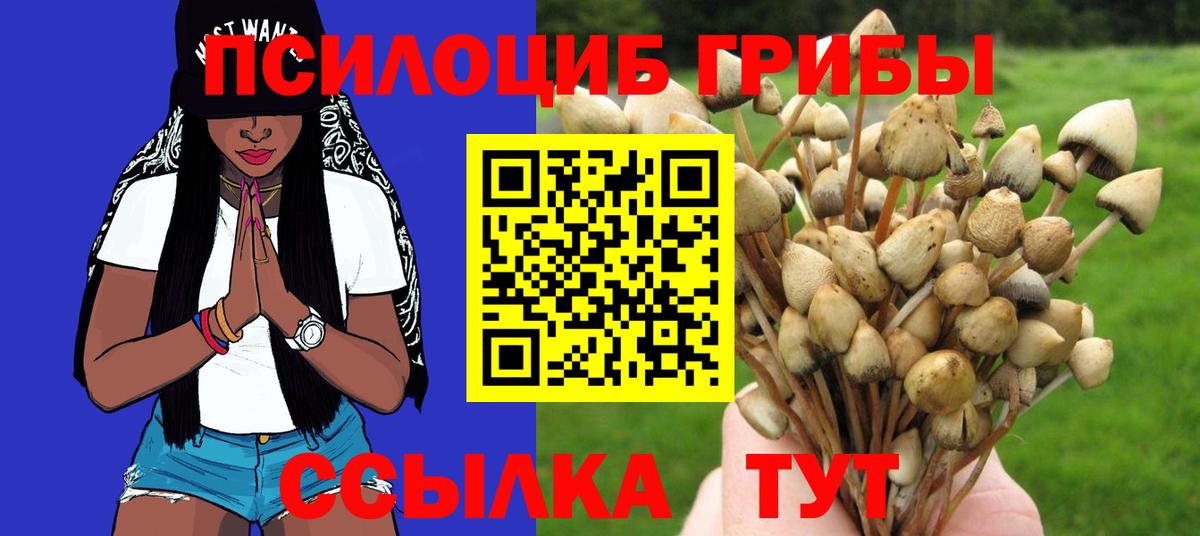 Ливны  Галлюциногенные грибы GOLDEN TEACHER  Вход с VPN  Псилоцибиновые грибы Magic Shrooms 