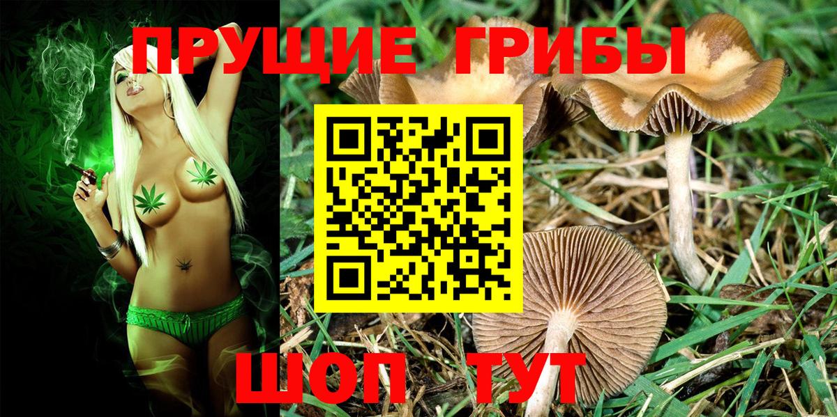 Псилоцибиновые грибы Magic Shrooms Ливны