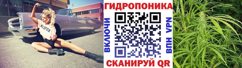 ссылка на мегу онион  Ливны  Бошки Шишки план 